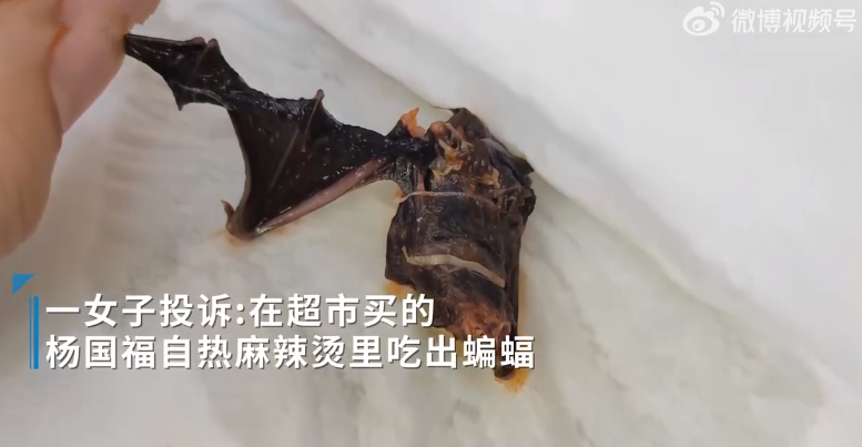 女子投诉杨国福麻辣烫吃出蝙蝠！杨国福回应：记录后反馈给相关部门处理 ！-第1张图片
