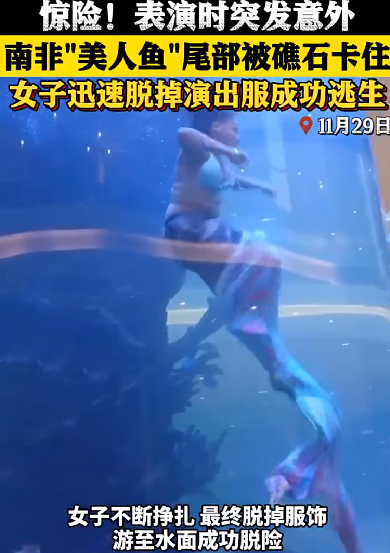 南非美人鱼表演时尾部被卡住：迅速脱掉演出服成功逃生 ！-第1张图片