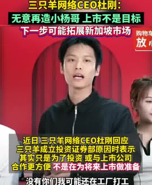 三只羊网络CEO回应上市传闻：上市不是目标，但会以上市公司的标准来要求自己 ！-第1张图片