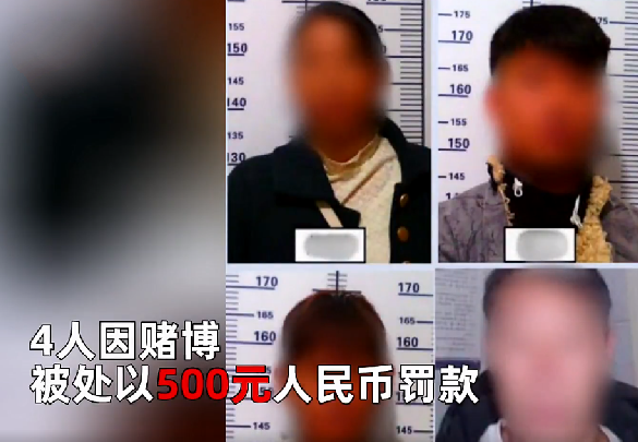 女子打麻将被“三吃一” 找警察评理：赌资被依法收缴每人再罚五百 ！-第1张图片