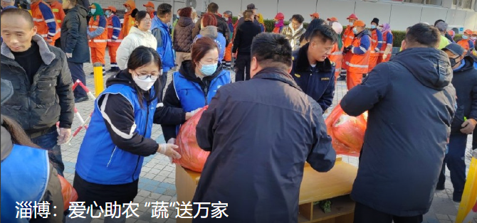 淄博采购滞销白菜免费发放给市民！淄博：爱心助农 “蔬”送万家 ！-第1张图片