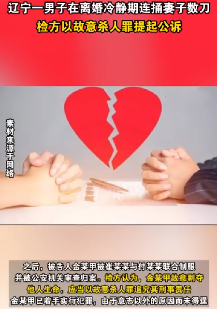 男子离婚冷静期连捅妻子数刀：检方以故意条人罪提起公诉 ！-第1张图片