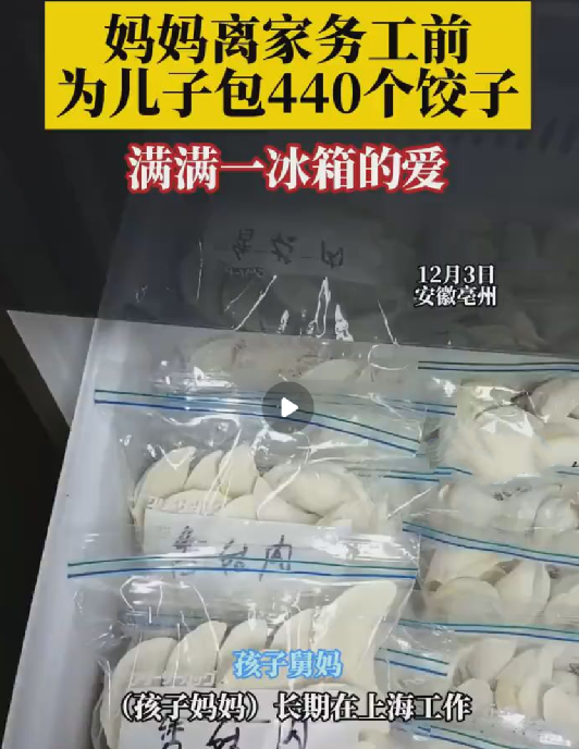 妈妈离家务工前为儿包440个饺子 ！网友：满满一冰箱的爱！-第1张图片