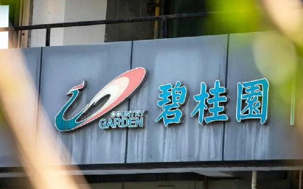 杨惠妍:家族砸锅卖铁支持公司，2024年交付量预计超过40万套 ！-第1张图片