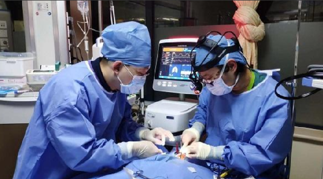 上海8岁女童下腰时摔倒致无法站立 ！专家：不推荐10岁以下练下腰训练等运动 ！-第1张图片