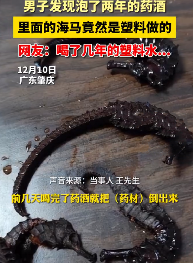 男子发现泡2年的药酒里海马竟是塑料! 直言：觉得又气又好笑，幸亏喝完身体没有什么不适！-第1张图片