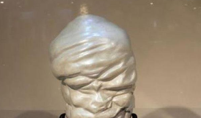 世界上最大的珍珠有多大(世界上最大的珍珠图片)-第2张图片 世界上最大的珍珠有多大(世界上最大的珍珠图片)-第2张图片