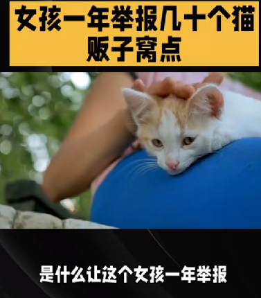 女孩一年举报几十个猫贩子窝点：数以万计的生命得以存活 ！-第1张图片
