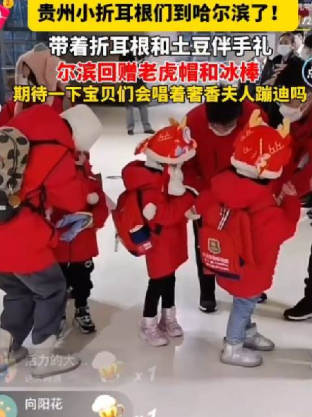 贵州小折耳根抵达哈尔滨：戴上老虎帽 勇闯“尔滨” ！-第1张图片