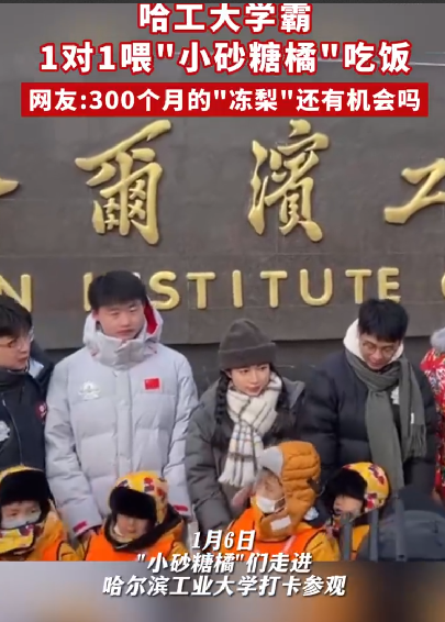 哈工大学霸人手一个橘宝宝 ！​网友：“哈工大级”的宠溺，我也想要！-第1张图片