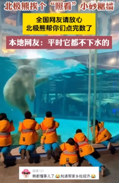 北极熊为小沙糖桔表演擦玻璃 ！​当地人表示：没见这祖宗下过水！-第1张图片