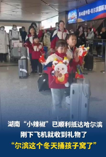 湖南“小辣椒”已顺利抵达哈尔滨 ！网友：“尔滨这个冬天捅孩子窝了” ！-第1张图片