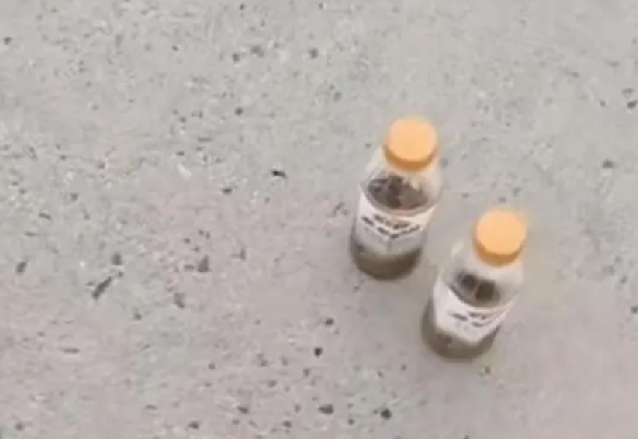 女子为净化海水丢瓶装液体！警方：瓶内液体符合蜂蜜性状 已教育训诫 ！-第1张图片