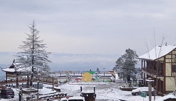 四川蒙顶山景区“一夜白头”：古树都已换上银装 ！-第1张图片