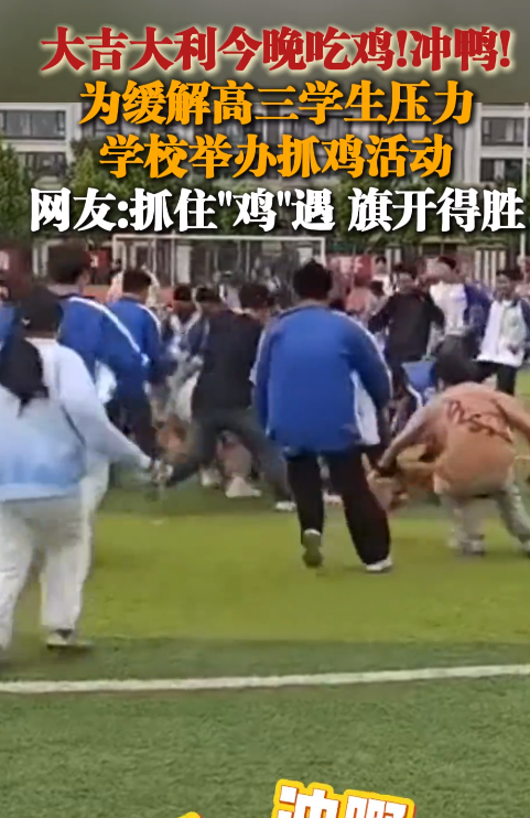 为缓解学生压力 学校举办抓鸡活动 鸡：压力不会消失 只会转移 ！-第1张图片