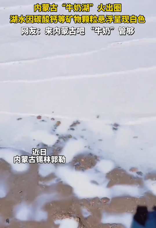 美翻！内蒙古“牛奶湖”奇观火出圈 湖水因矿物颗粒现乳白色 !-第1张图片